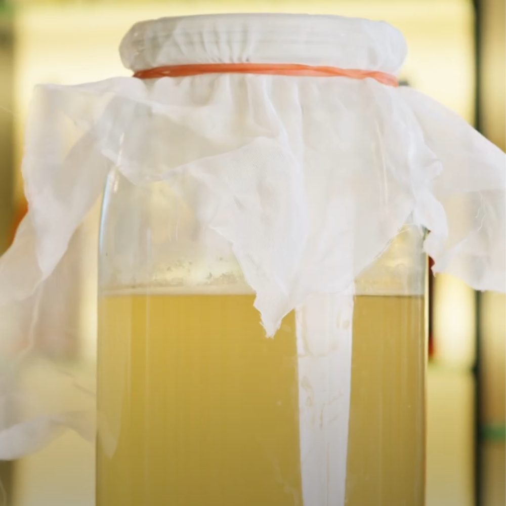 Pot de kombucha en cours de fermentation